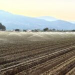 California Seeks New Members for Fertilizer Oversight Board