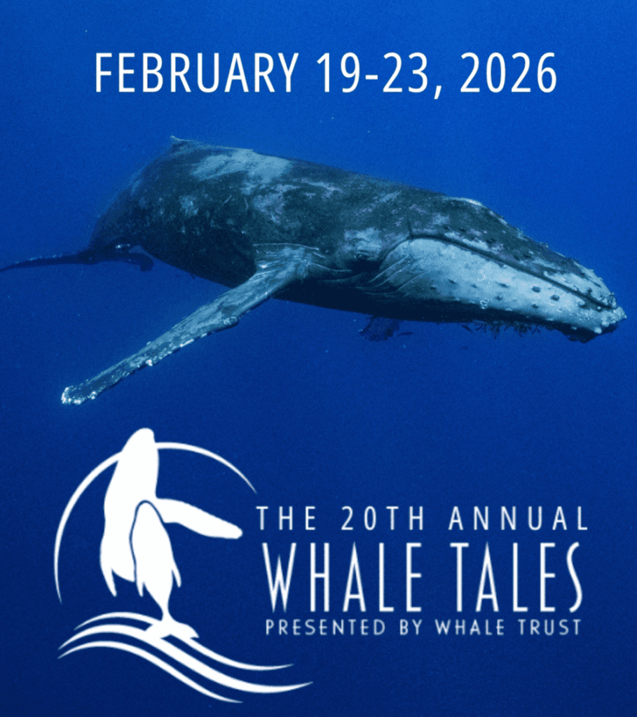 Whale Tales Marks 20th Anniversary with Special Events and Silent Auction